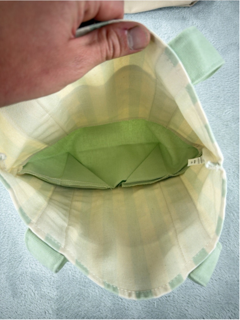 Trader Joe's Mini Canvas Bag Light Green White Stripes - Picture 4 of 10